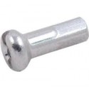 Tête de Rayon DT SWISS ALU ADONISE ALLOY A 2.0mm x 12mm Argent