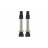 VAR 2 valves tubeless RONDES 35mm - VAR Kit 2 Valves Tubeless Laiton 35 mm Argent